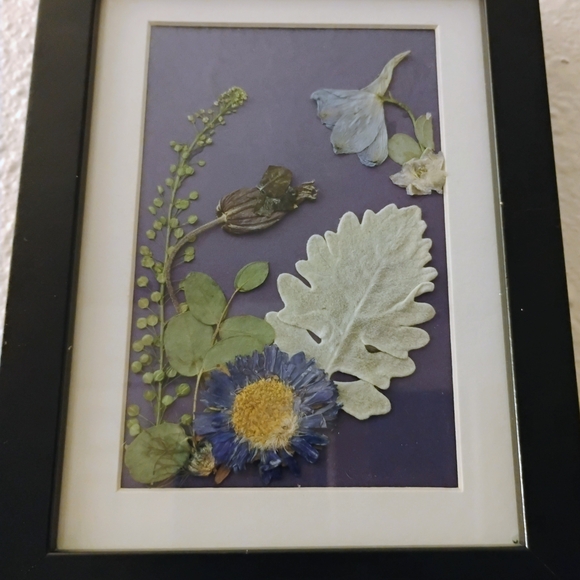 Other - Framed Botanical Art with Blue and Green Accents
